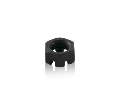 DIN935 Hexagon Sloted Nuts