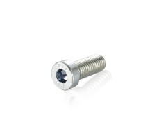 Cylindrical Inner Hexagon Screws