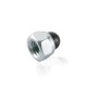 Hex Nylon Cap Nut