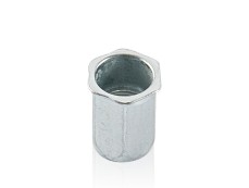 Reduce Head Half Hex Body Rivet Nuts