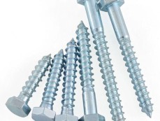 Flat Head Semi-Hex Body Rivet Nuts