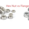 Hex Nut vs Flange Nut: Which One Should You Use? Hex Nut vs Flange Nut: Which One Should You Use?