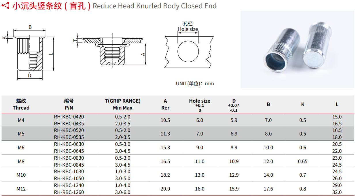 Reduce Head Knurled Body Closed End Rivet Nut Specification