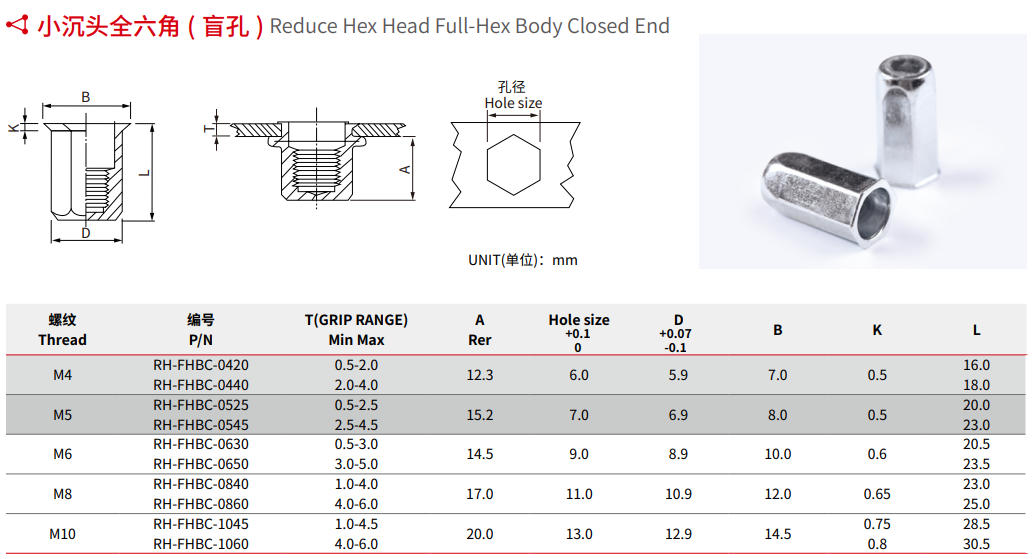 Reduce Hex Head Full-Hex Body Closed End Rivet Nut Specification